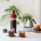 Заварник Колд Брю Hario Filter-In Coffee Bottle