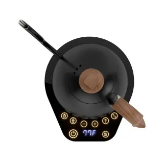 Brewista електричний чайник Artisan Electric Gooseneck Kettle – купити в Києві, ціна | RoastersHub