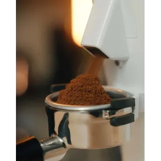 Turin G-IOTA DF64 Gen 2 Single Dose Coffee Grinder – купити в Києві, ціна | RoastersHub