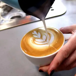 Rhino Coffee Gear Classic пітчер 450мл – купити в Києві, ціна | RoastersHub